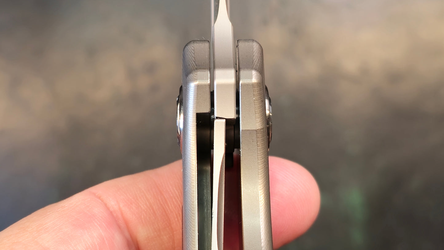 TwoSun TS319 Carbon Fiber/Titanium Handle 14C28N Plain Edge (CLOSEOUT)