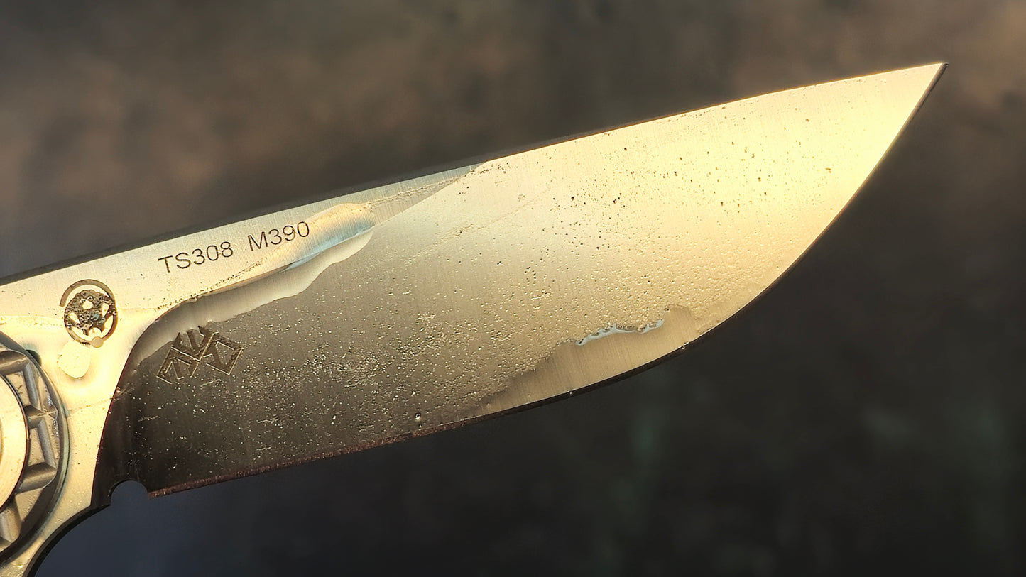 TwoSun TS308 Folding Knife Gray Titanium Handle M390 Plain Edge (NEW)