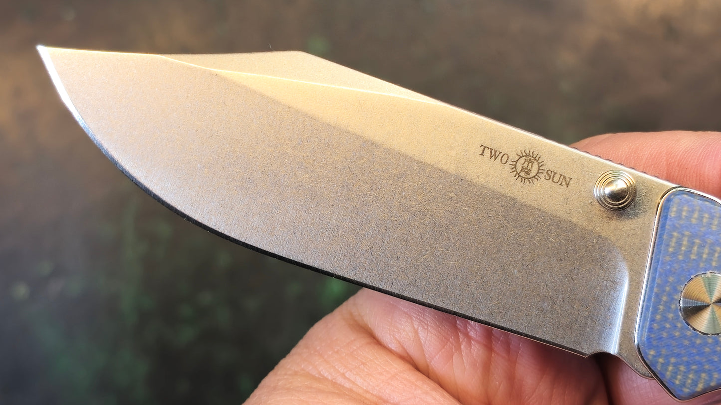 TWOSUN TS495 Blue Micarta Handle 14C28N (NEW)