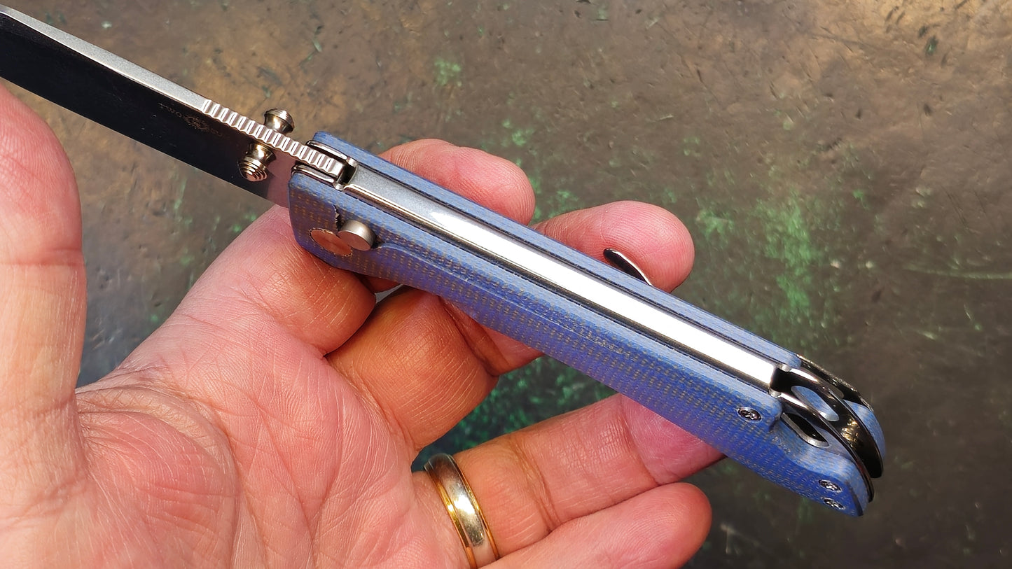 TWOSUN TS495 Blue Micarta Handle 14C28N (NEW)