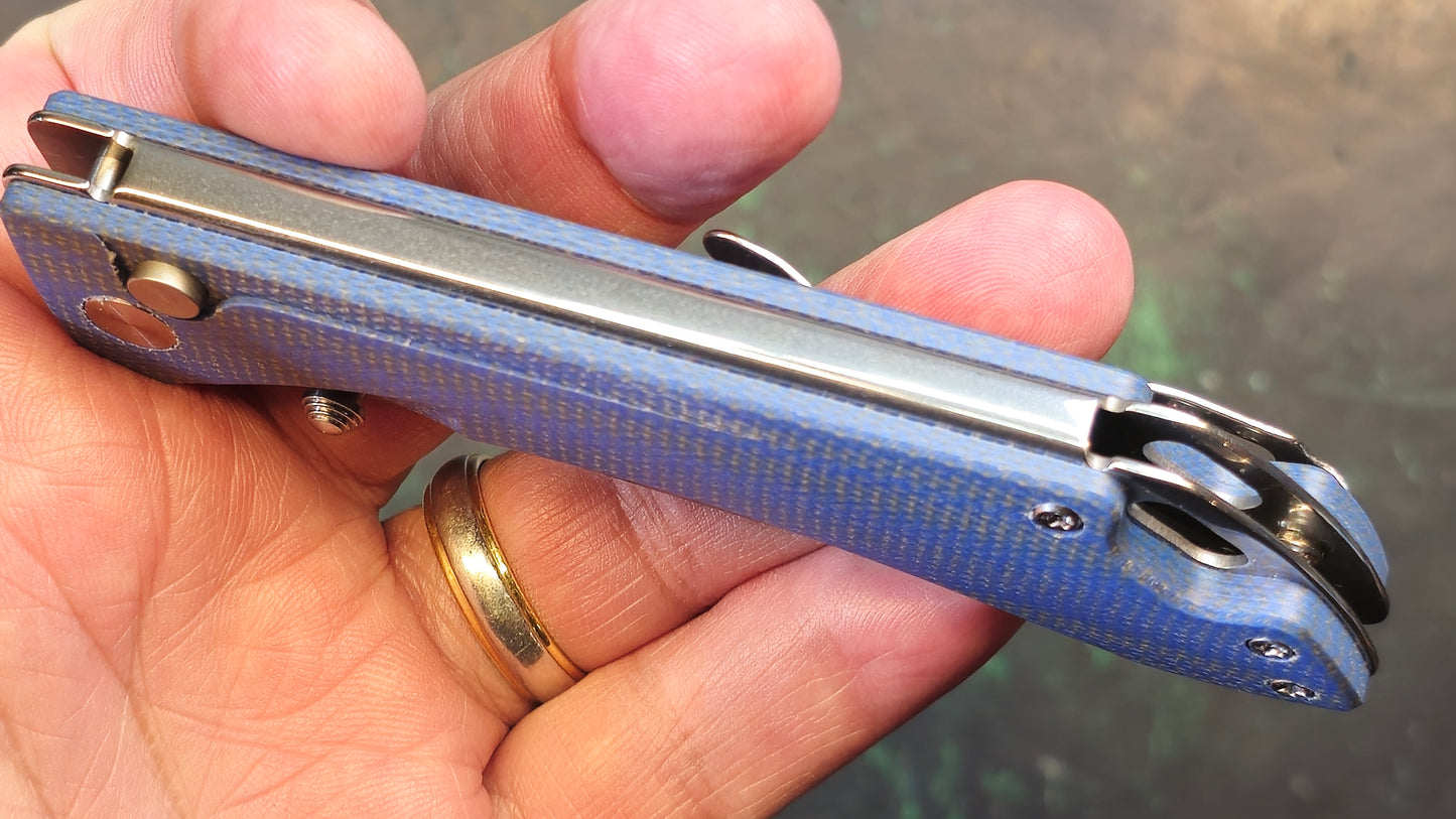 TWOSUN TS495 Blue Micarta Handle 14C28N (NEW)