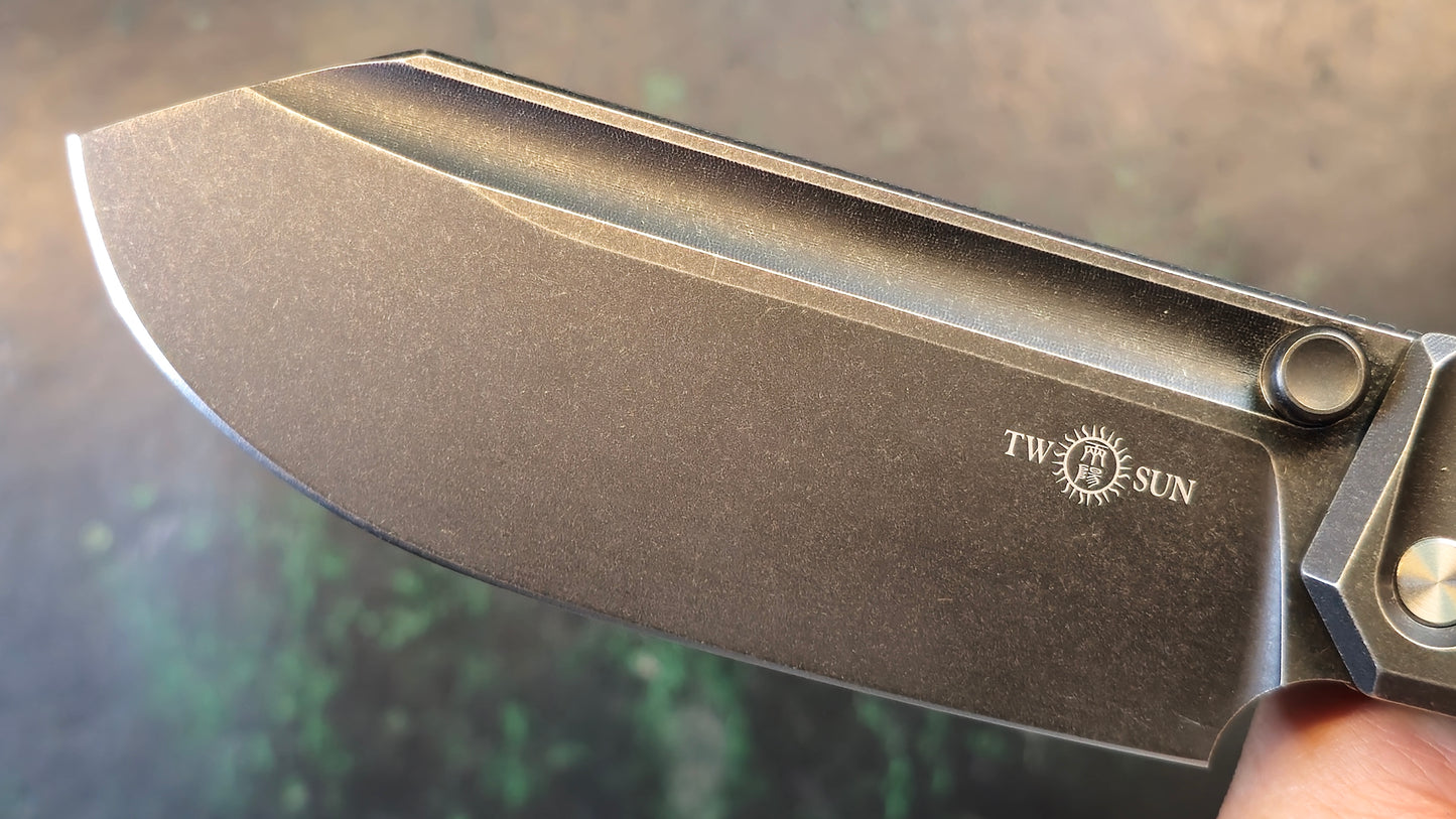 TWOSUN TS552 Black Titanium Handle D2 (NEW)