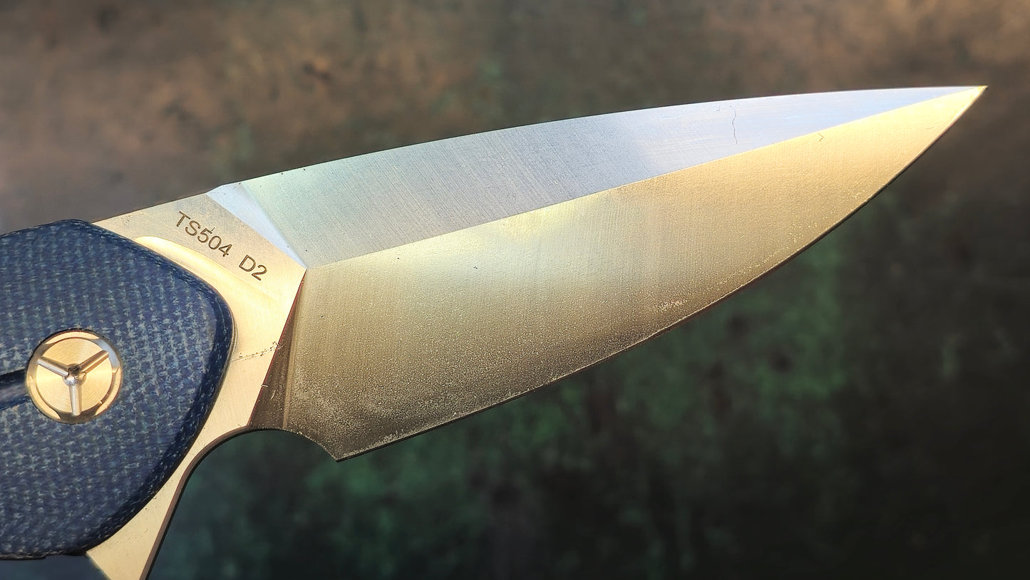 TWOSUN TS504 Blue Micarta Handle D2 (NEW)