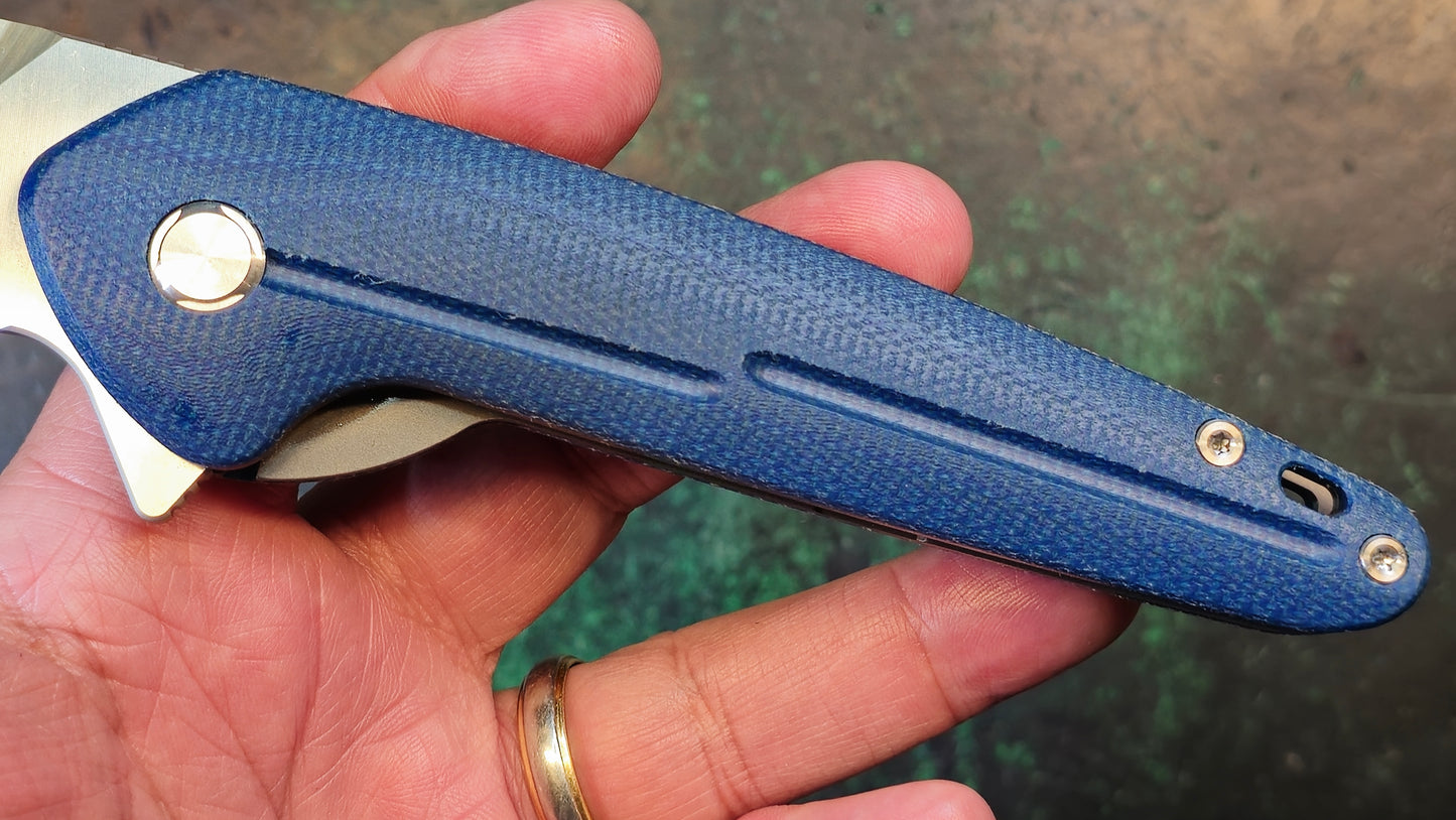 TWOSUN TS504 Blue Micarta Handle D2 (NEW)