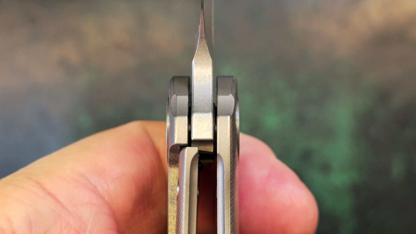 TWOSUN TS230 Titanium Handle 14C28N (NEW)