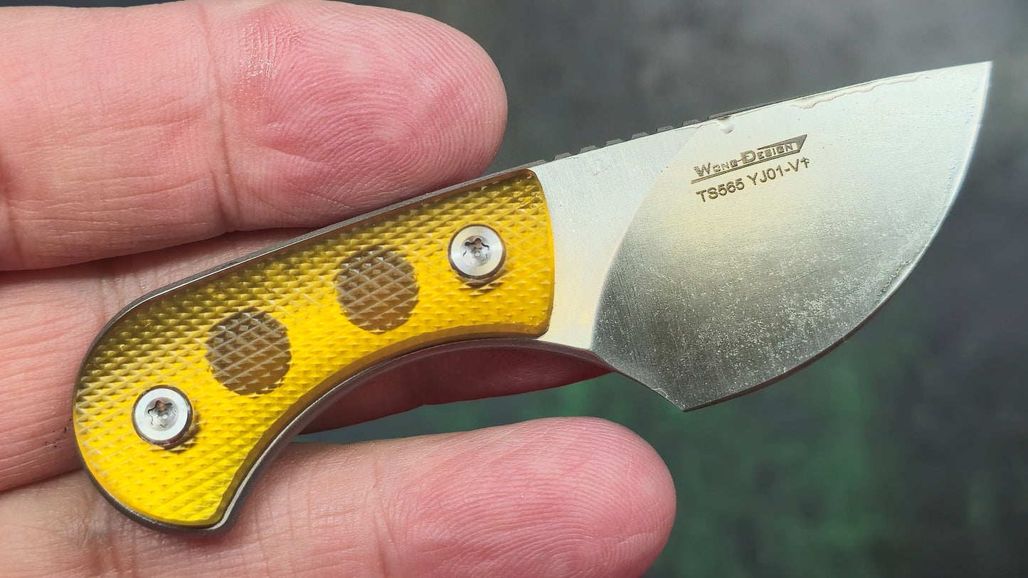 TwoSun TS565 Micro Mini Fixed Blade PEI Handle YJ01-V01 (NEW)