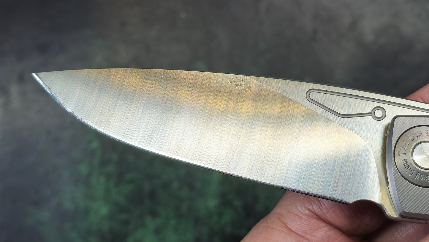 TwoSun TS482 Titanium/CF Handle 14C28N Blade (NEW)