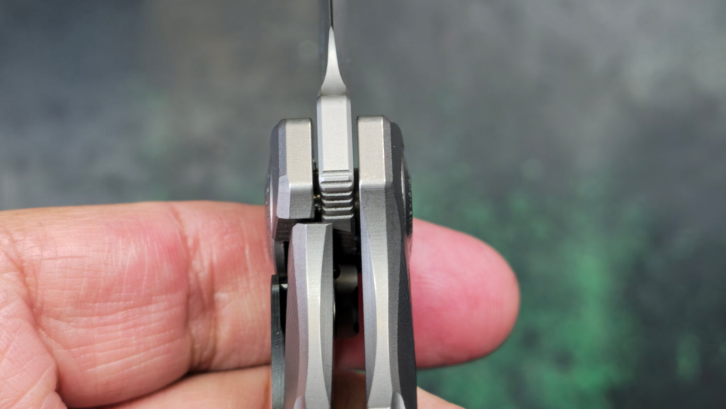 TwoSun TS482 Titanium/CF Handle 14C28N Blade (NEW)