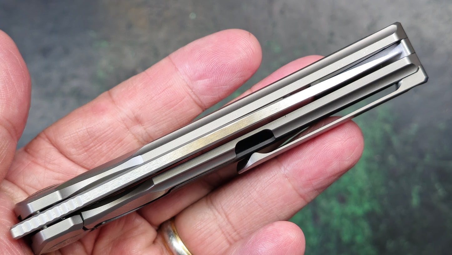 TwoSun TS482 Titanium/CF Handle 14C28N Blade (NEW)