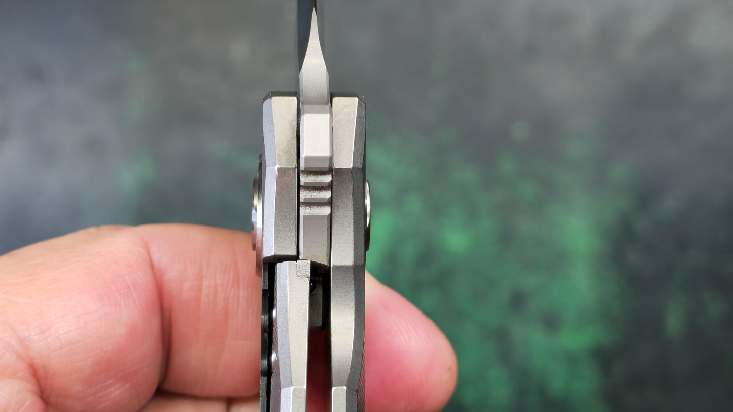 TWOSUN TS191 Titanium/Carbon Fiber Handle M390 (NEW)