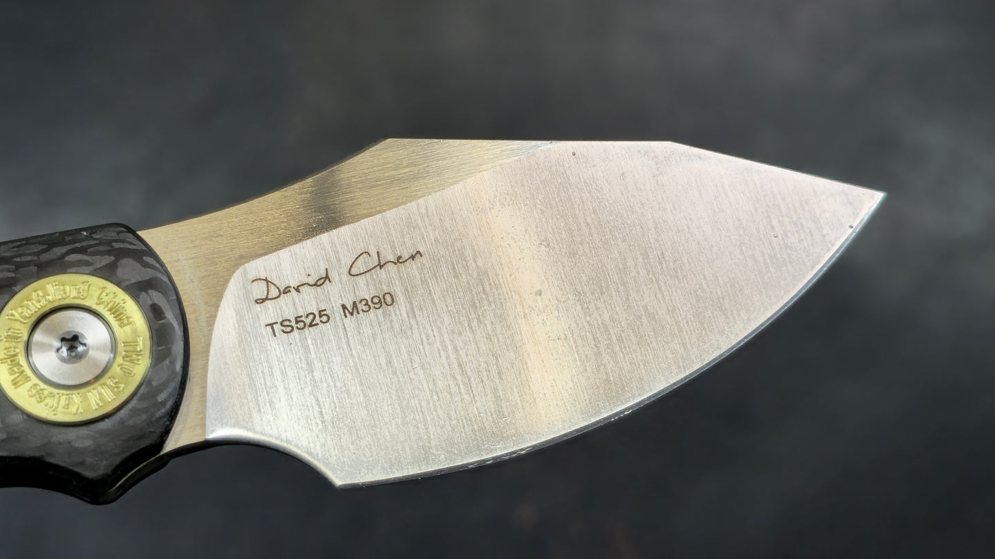 TWOSUN TS525 Carbon Fiber M390 (NEW)