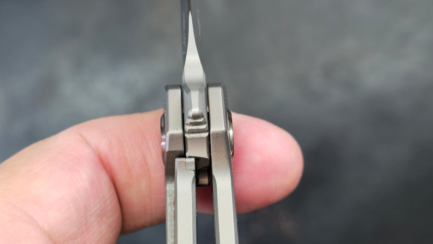 TWOSUN TS51 Titanium M390 (NEW)