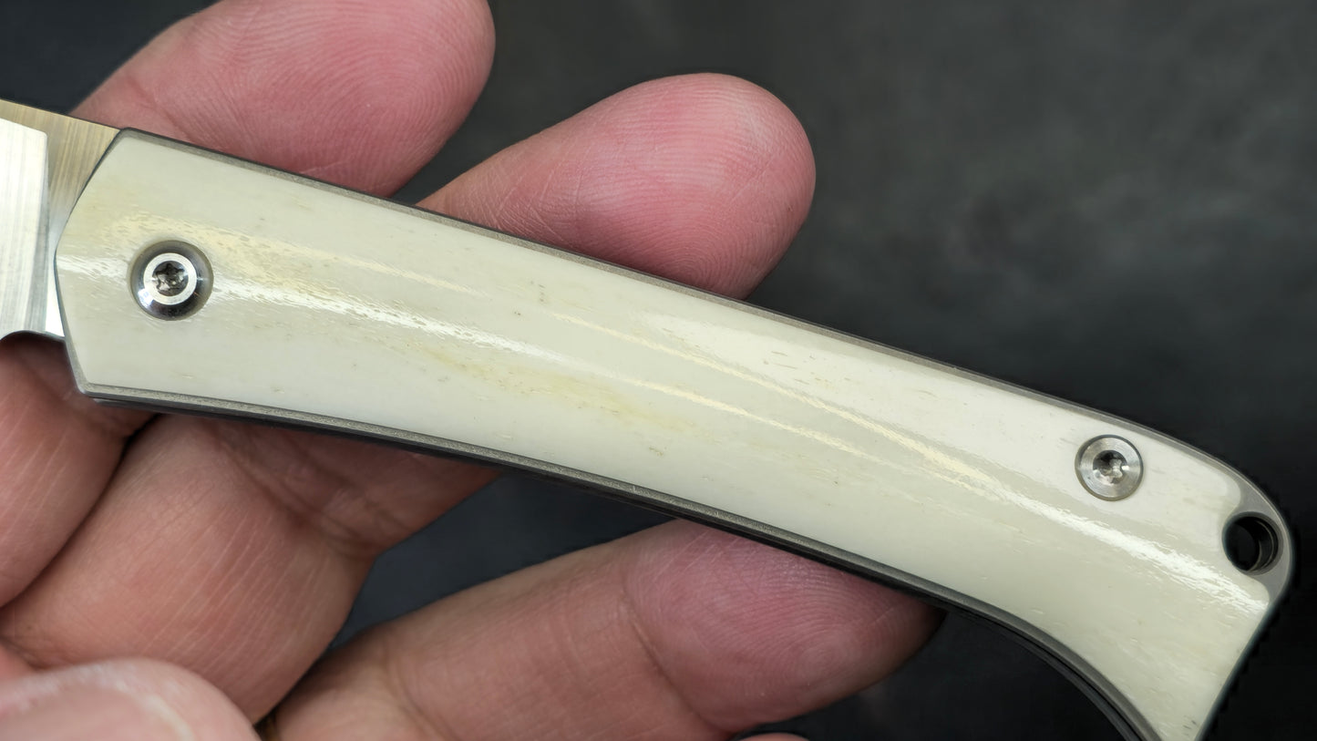 TWOSUN TS161 Slip Joint Titanium Bone M390 (NEW)