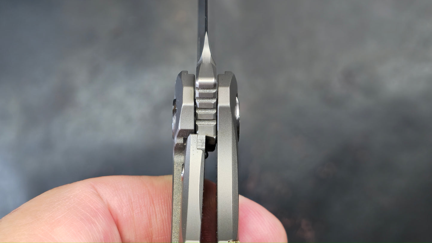 TWOSUN TS49 Titanium Micarta M390 (New)