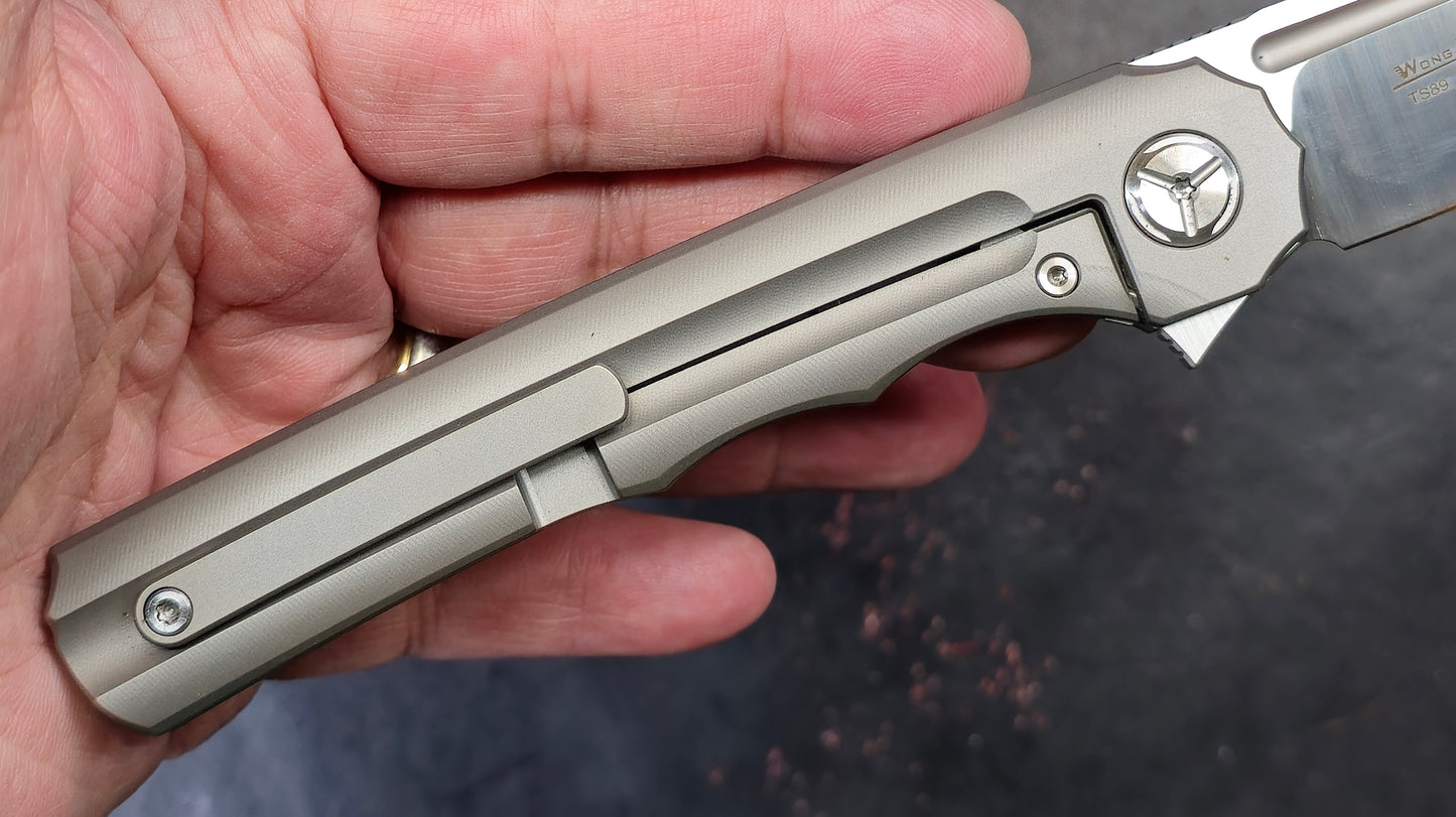 TWOSUN TS89 Titanium M390 (New)