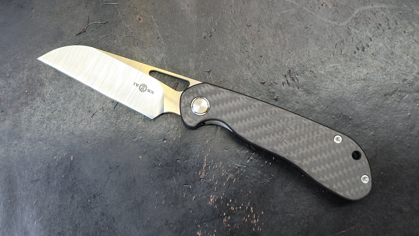 TWOSUN TS262 Carbon Fiber Titanium M390 (NEW)