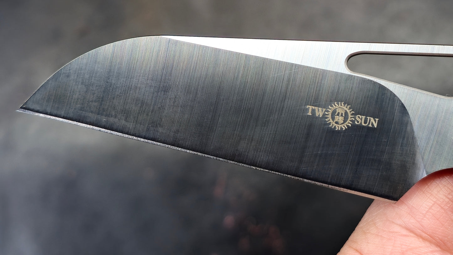 TWOSUN TS262 Carbon Fiber Titanium M390 (NEW)