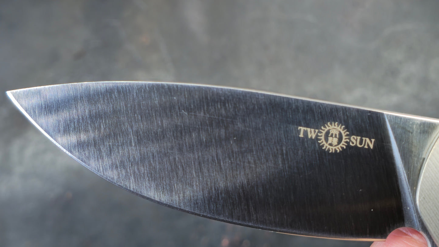 TWOSUN TS223 Titanium Carbon Fiber M390 (NEW)