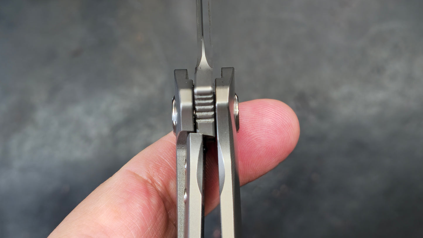 TWOSUN TS223 Titanium Carbon Fiber M390 (NEW)