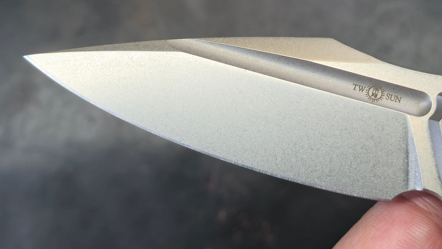 TWOSUN TS220 Titanium M390 (NEW)