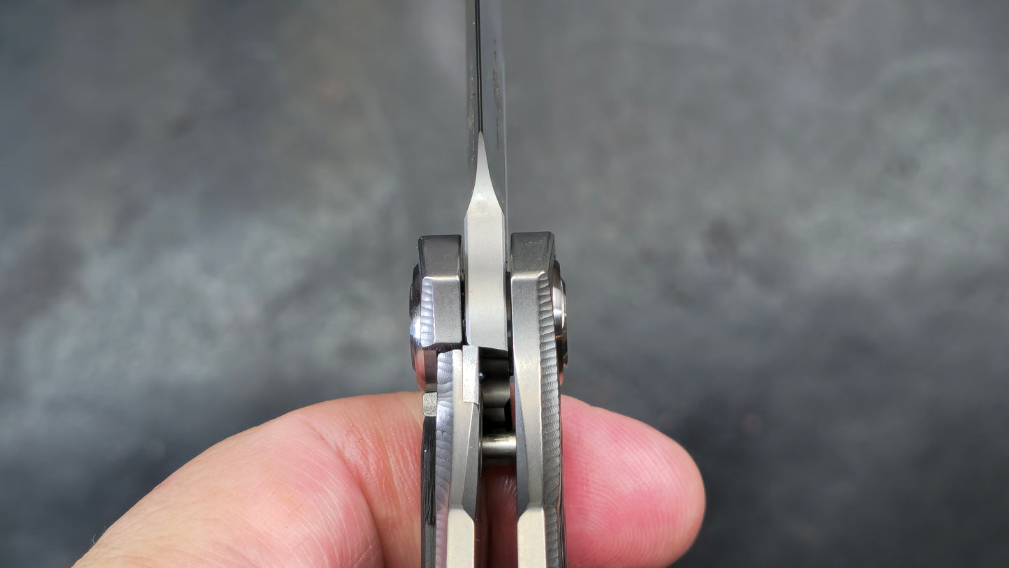 TWOSUN TS229 Titanium Carbon Fiber M390 (NEW)