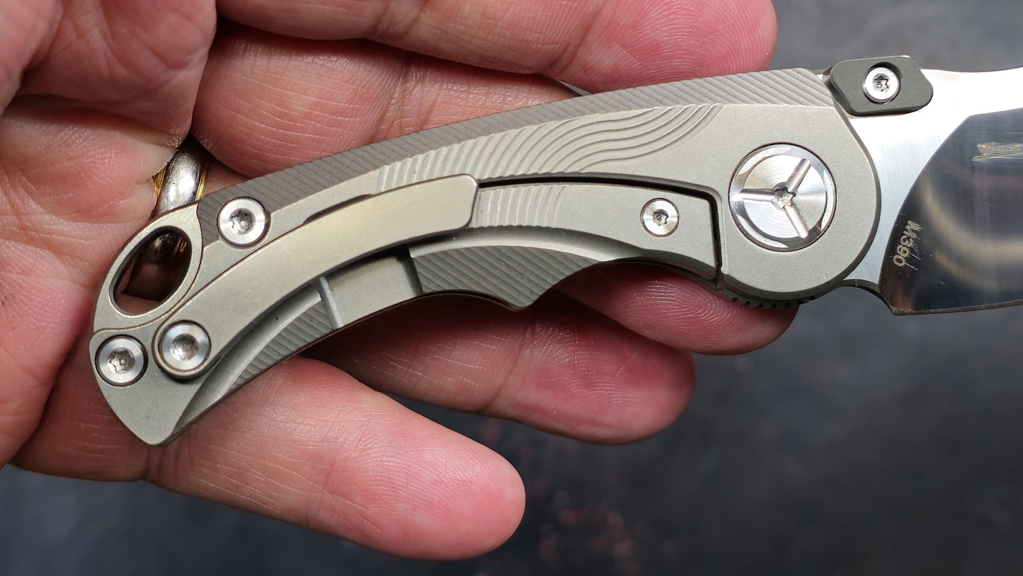 TWOSUN TS199 Titanium M390 (NEW)