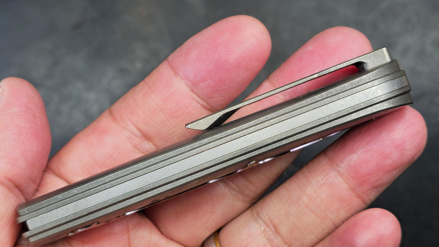 TWOSUN TS315 Slip Joint Titanium Handle M390 (NEW)