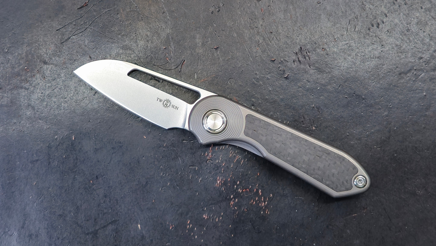 TwoSun TS319 Carbon Fiber/Titanium Handle M390 (NEW)