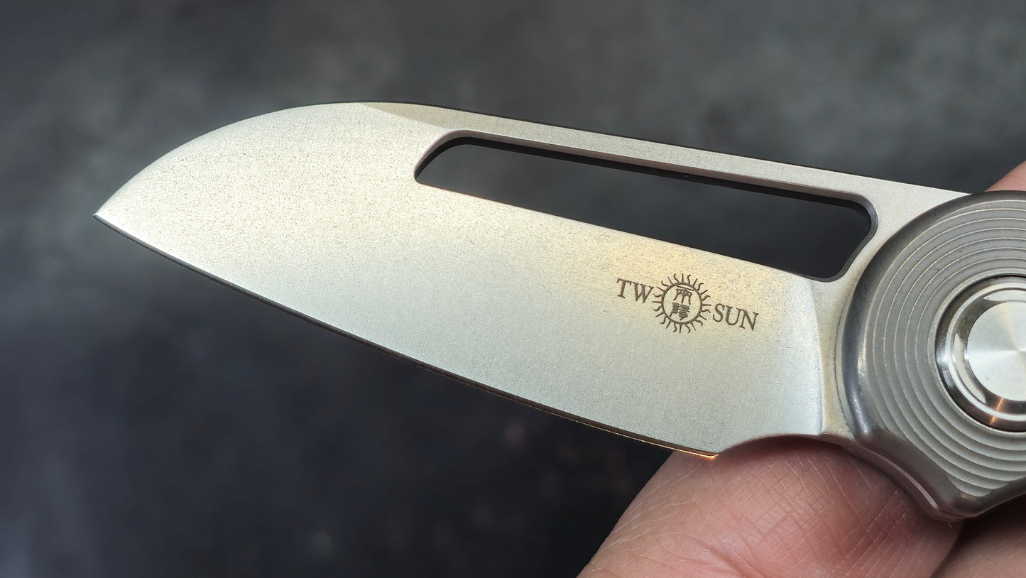 TwoSun TS319 Carbon Fiber/Titanium Handle M390 (NEW)