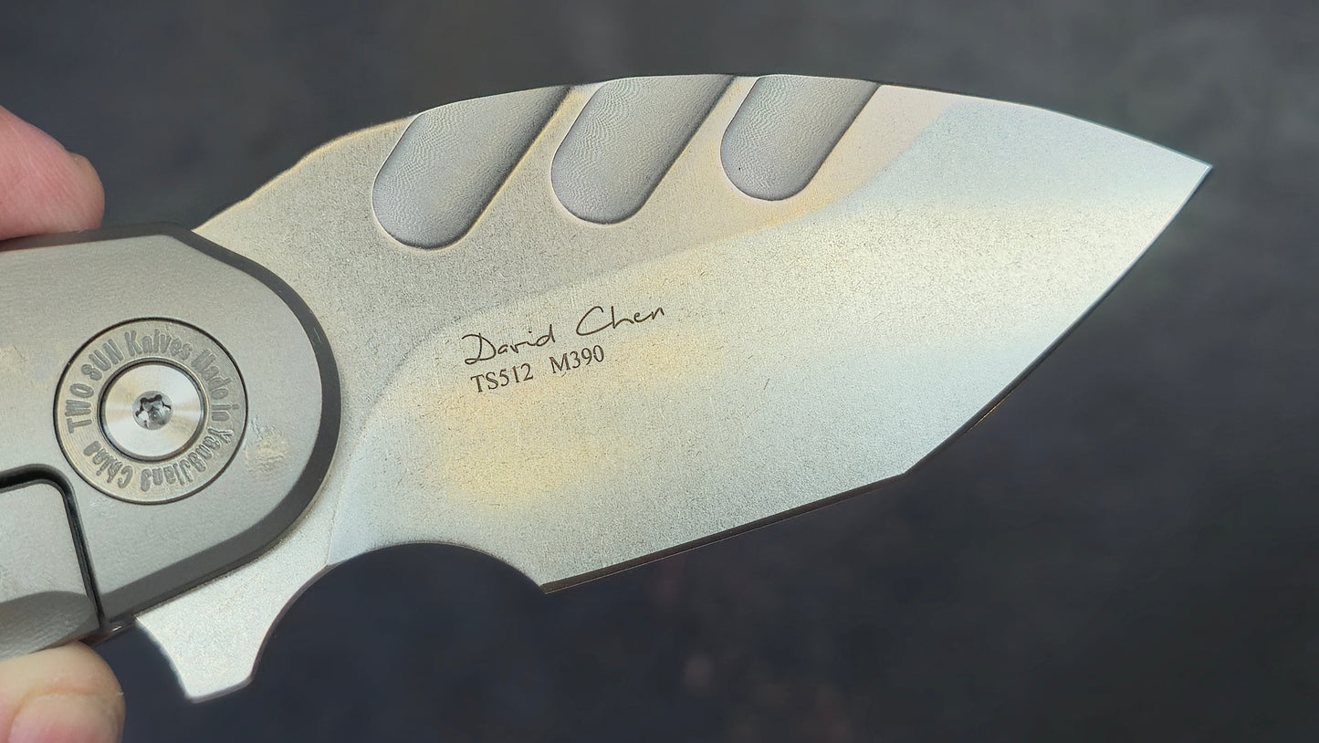 TWOSUN TS512 Carbon Fiber/Titanium Handle M390 (NEW)