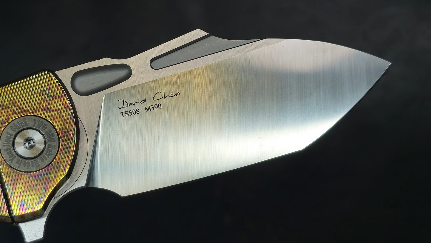 TWOSUN TS508 ANODIZED Titanium & Carbon Fiber Handle M390 (NEW)