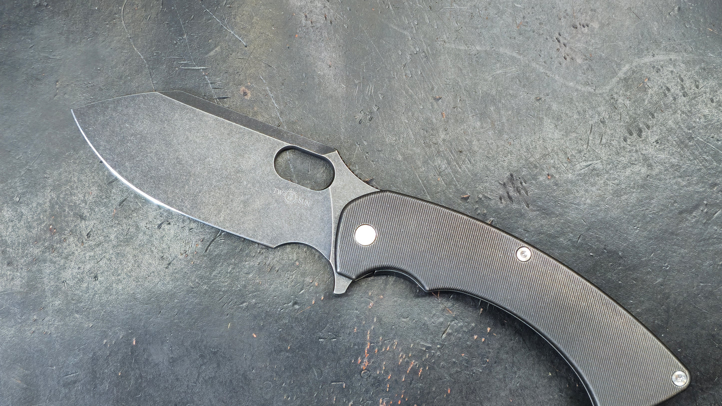 TWOSUN TS459 Black Titanium Handle 14C28N (NEW)