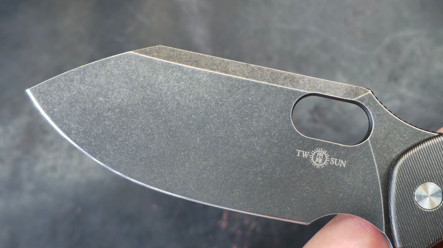 TWOSUN TS459 Black Titanium Handle 14C28N (NEW)