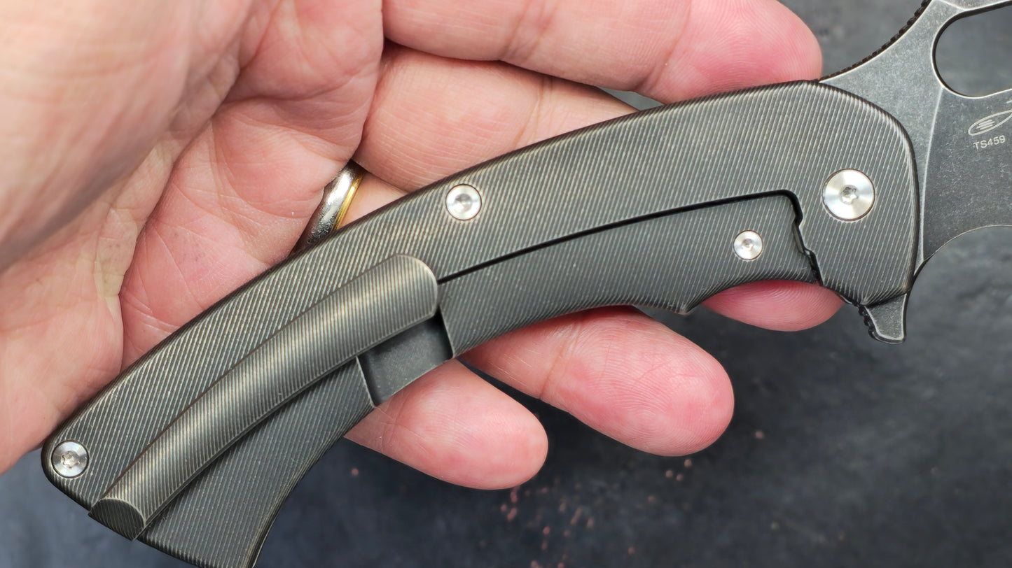 TWOSUN TS459 Black Titanium Handle 14C28N (NEW)