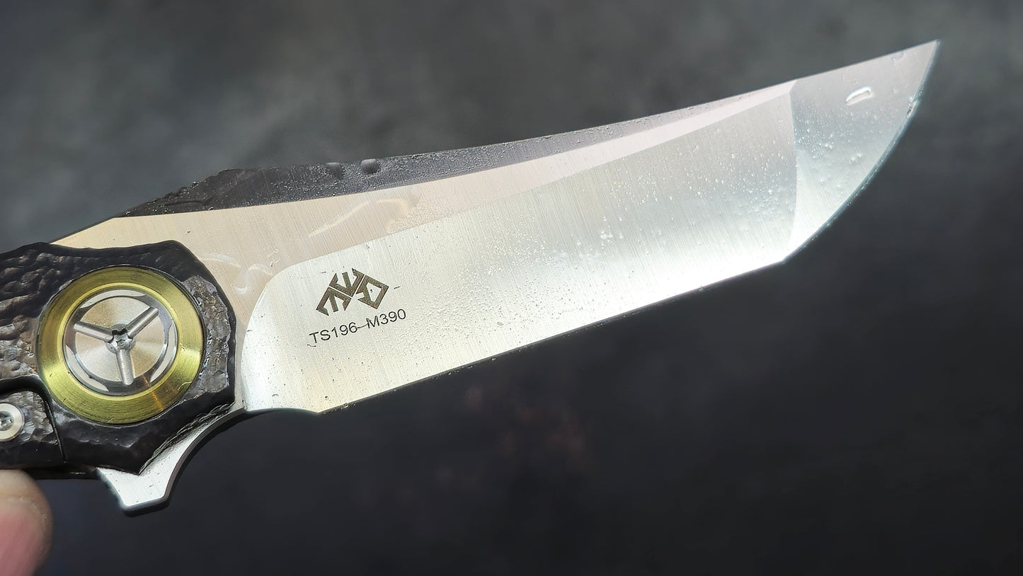 TWOSUN TS196 ENGRAVED Titanium M390 (NEW)
