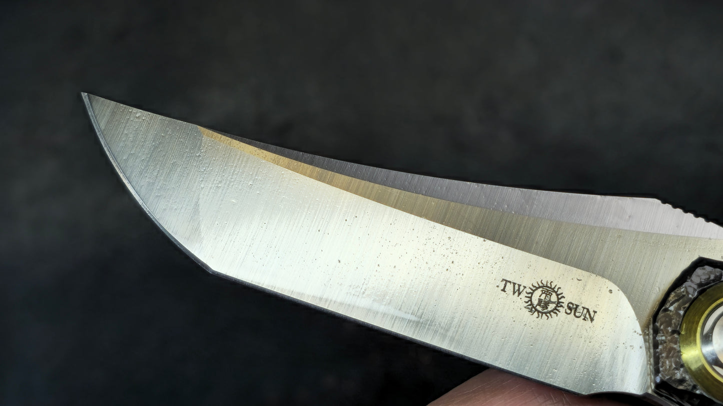 TWOSUN TS196 ENGRAVED Titanium M390 (NEW)