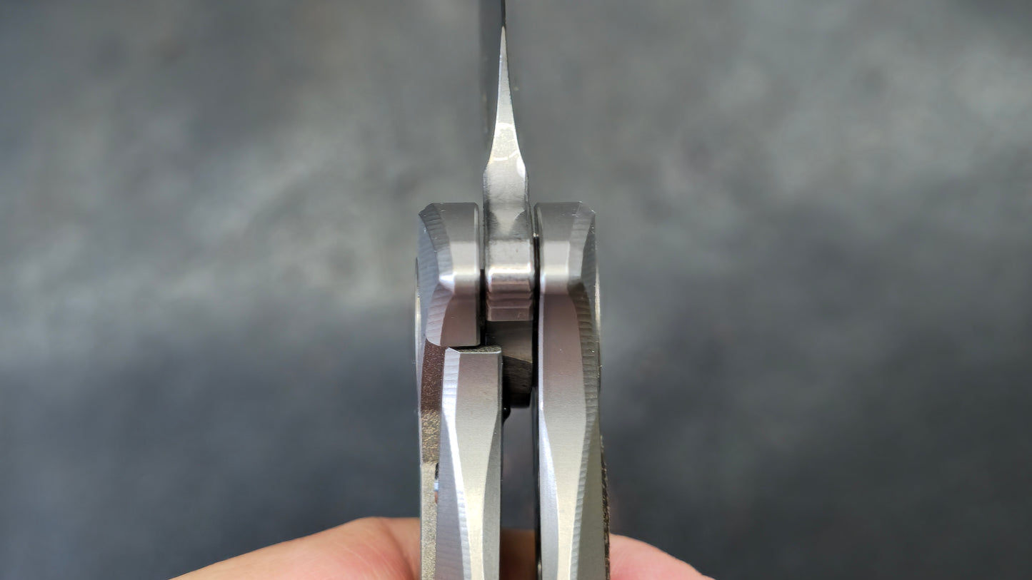 TWOSUN TS566 Micarta Titanium K110 (NEW)