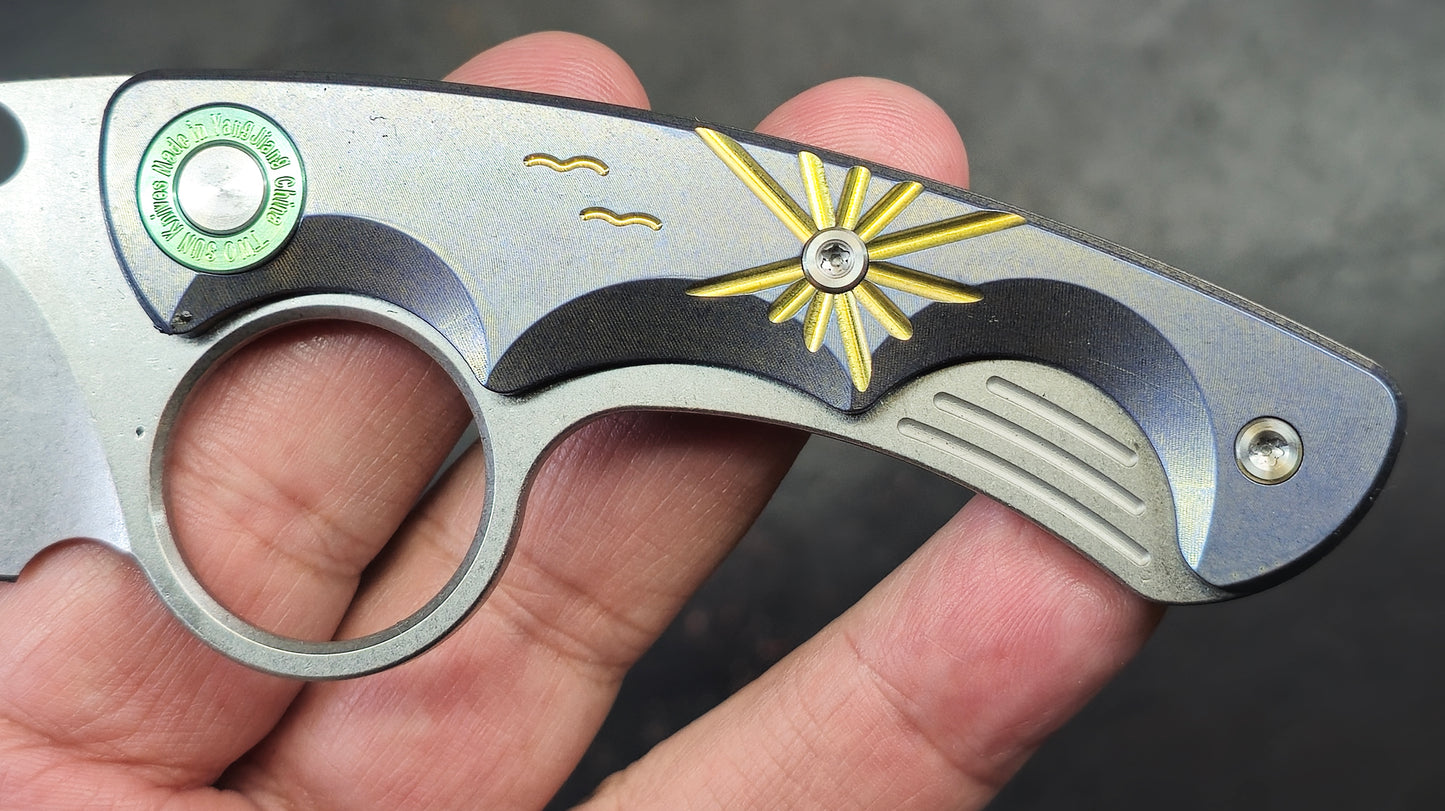 TWOSUN TS569 Fixed Blade Titanium 14C28N (NEW)