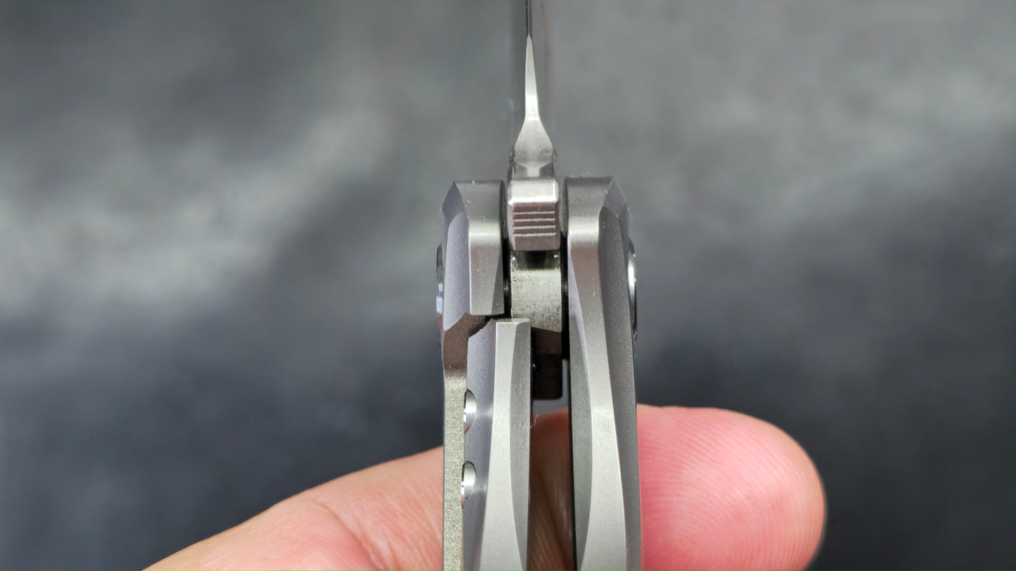 TWOSUN TS162 Titanium Carbon Fiber M390 (NEW)