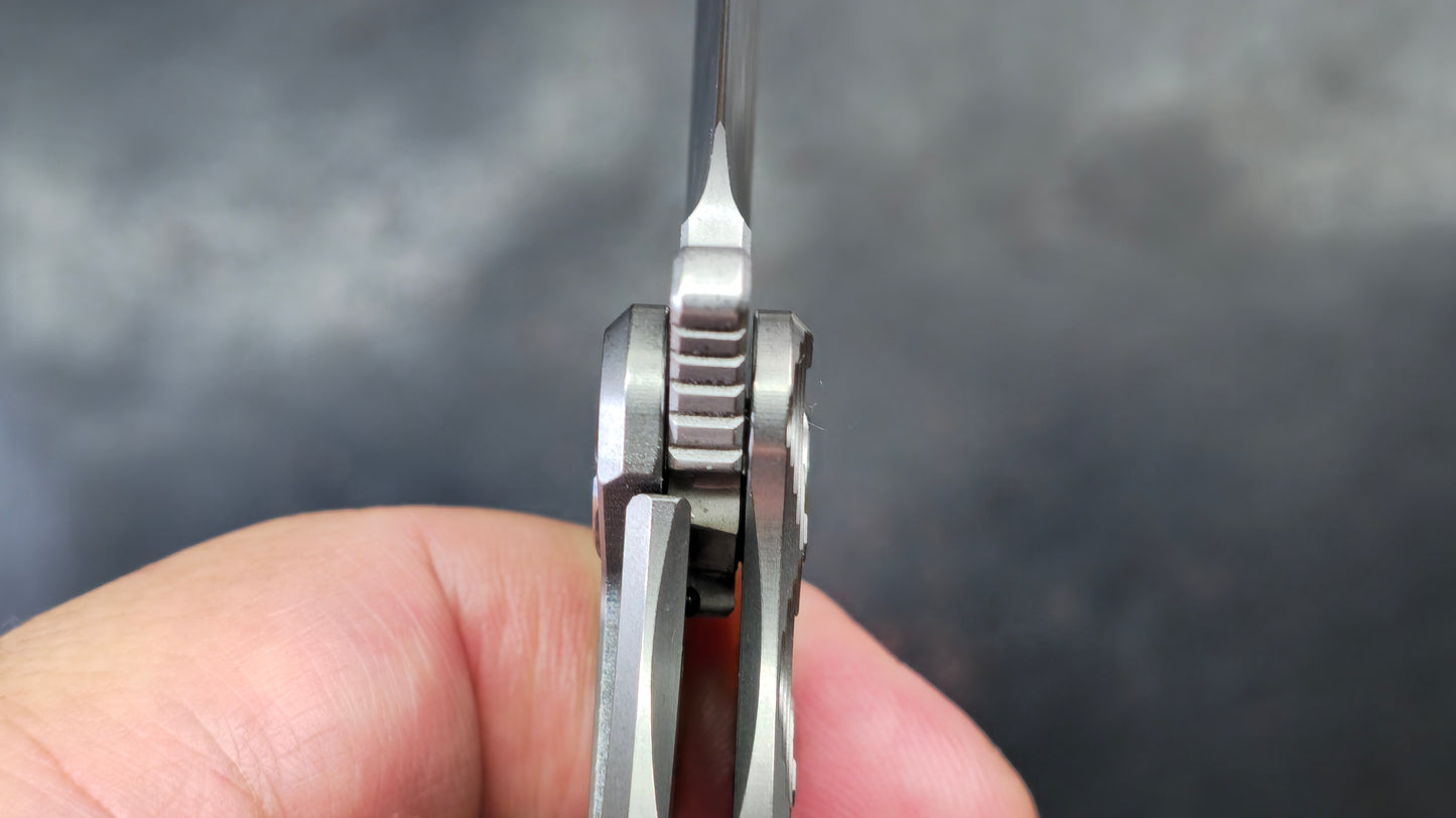 TWOSUN TS72 (ROUND) Titanium M390 (NEW)
