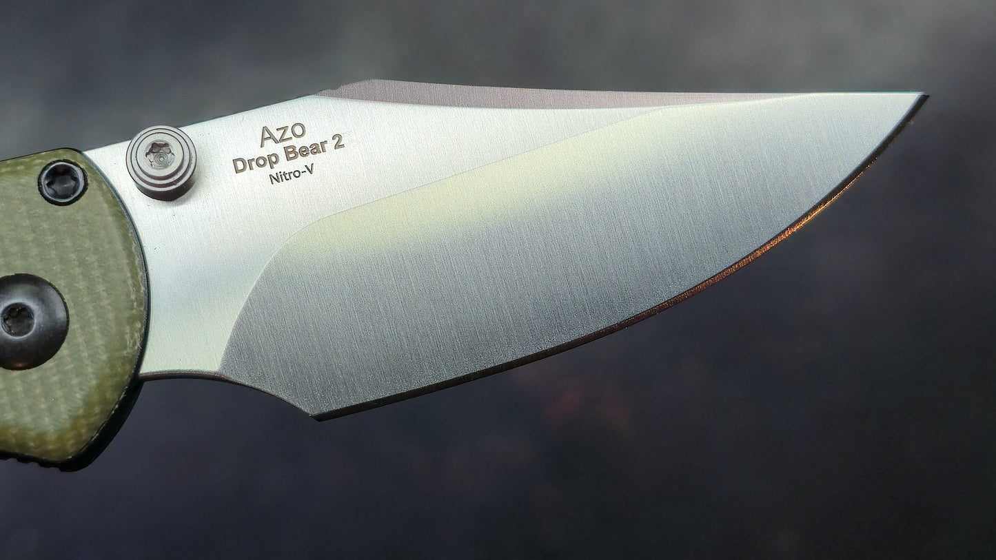Kizer Drop Bear 2 Green Micarta Handle Nitro-V Clip Point (NEW)