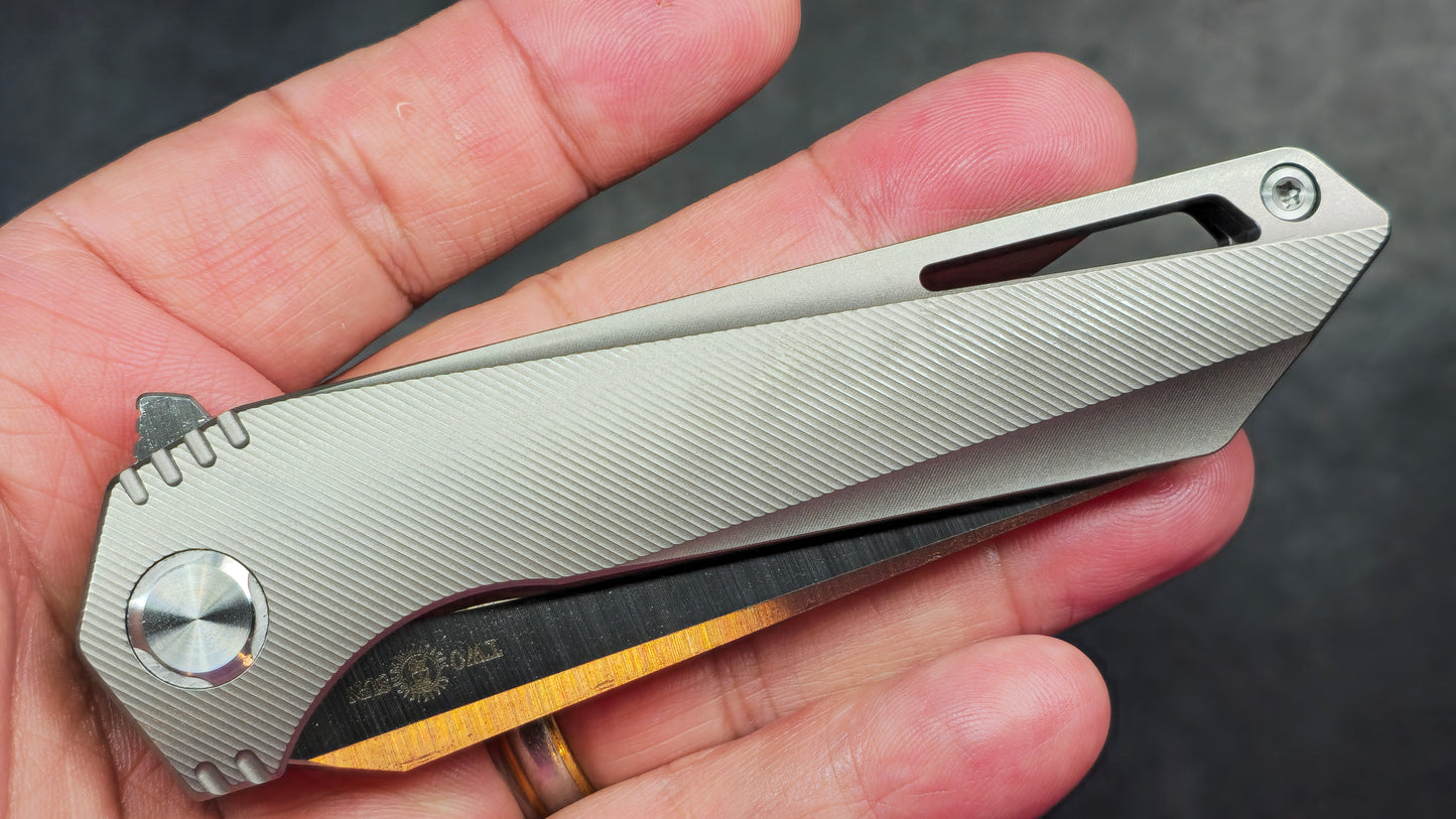 TwoSun TS298 Titanium Handle M390 Plain Edge (NEW)
