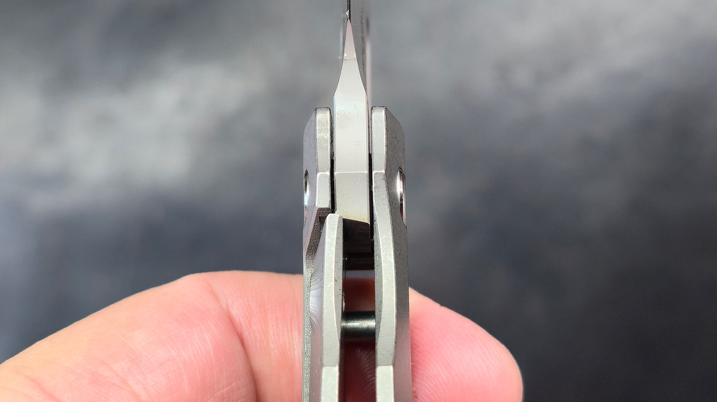 TWOSUN TS376 Titanium M390 (NEW)
