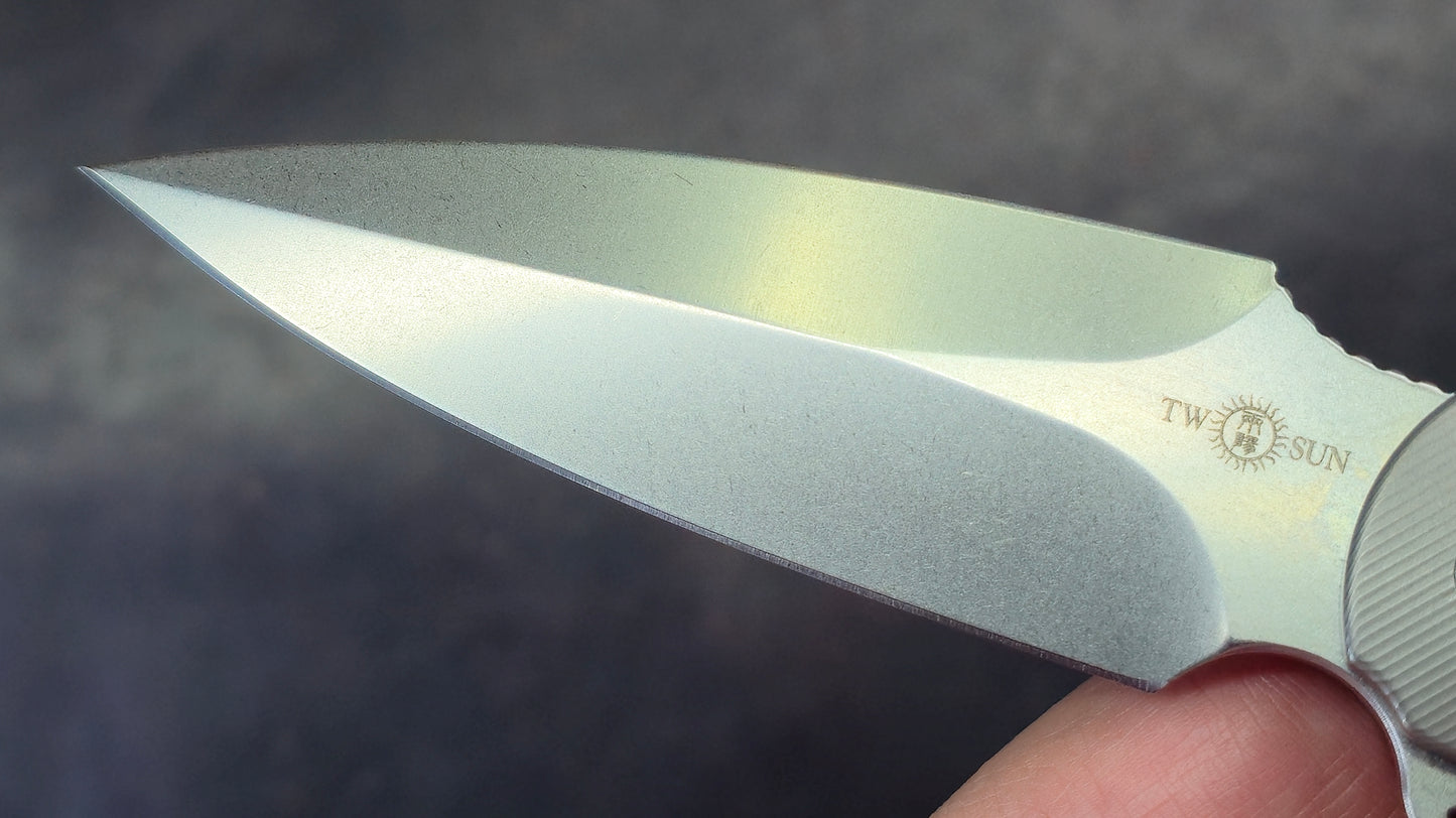 TWOSUN TS248 Titanium Handle M390 Blade (NEW)