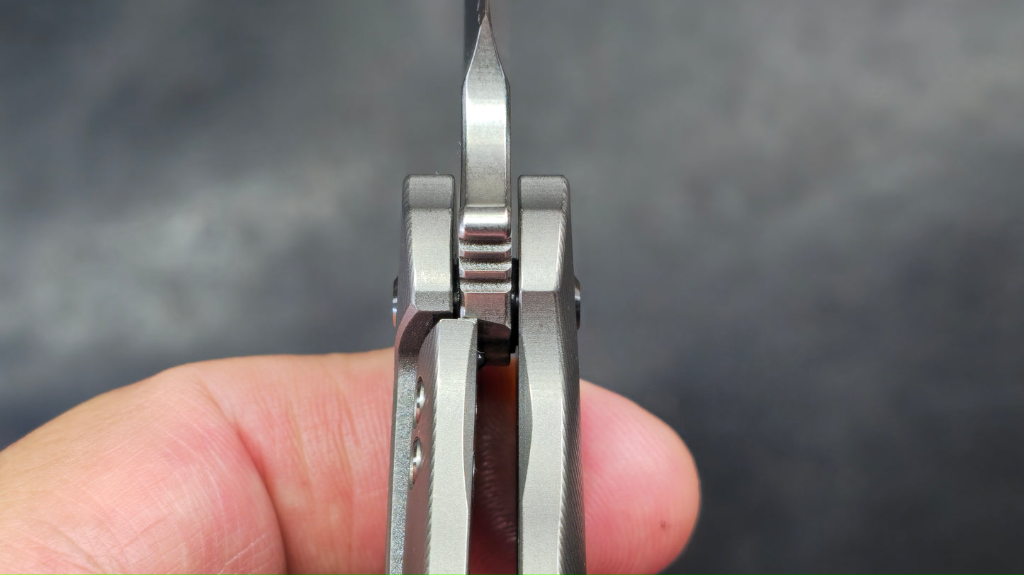 TWOSUN TS248 Titanium Handle M390 Blade (NEW)