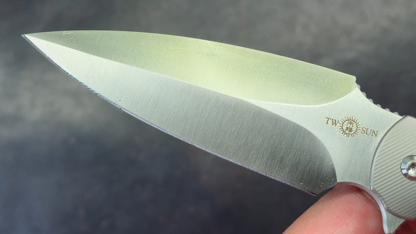 TWOSUN TS248 Titanium Handle D2 Blade (NEW)