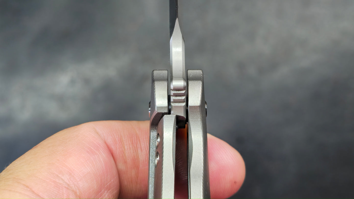 TWOSUN TS248 Titanium Handle D2 Blade (NEW)