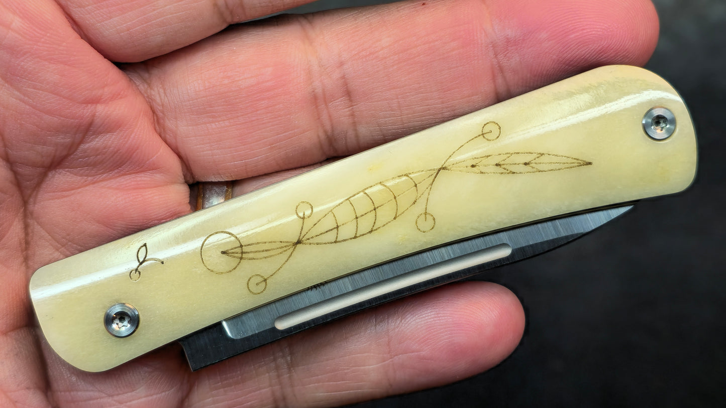 Twosun TS197 Slip Joint Bone Titanium M390 (NEW)