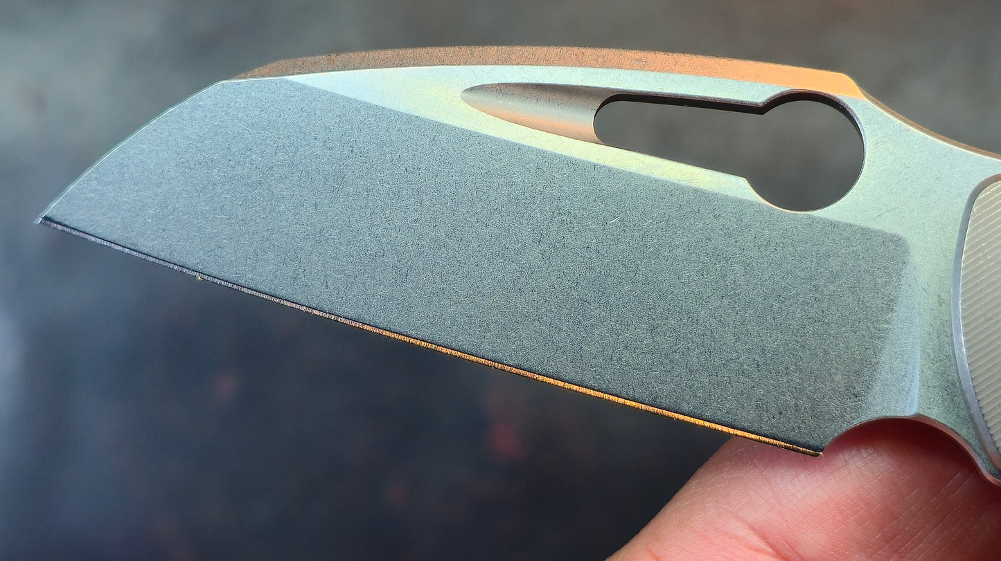 TwoSun TS559 Gray Titanium Handle 14C28N Blade (NEW)