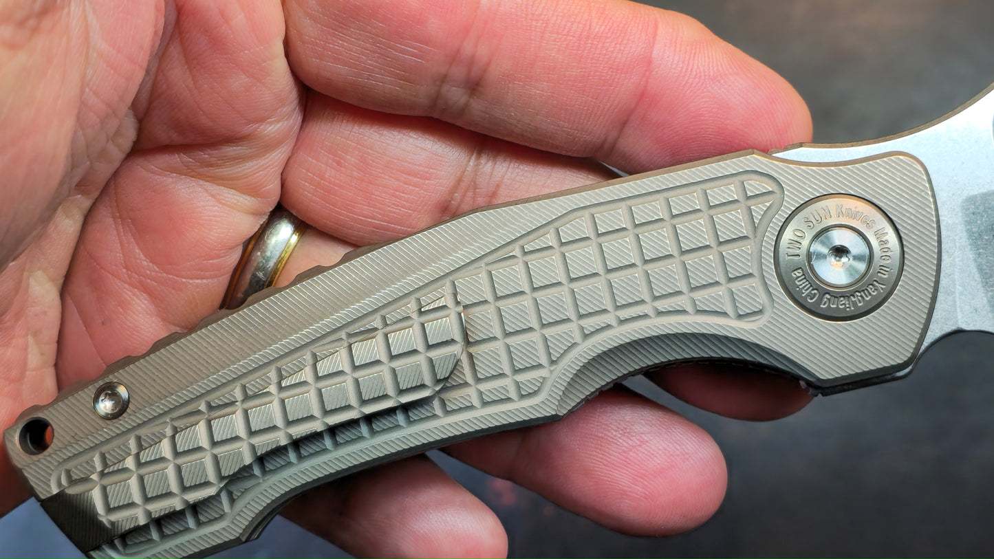 TwoSun TS559 Gray Titanium Handle 14C28N Blade (NEW)